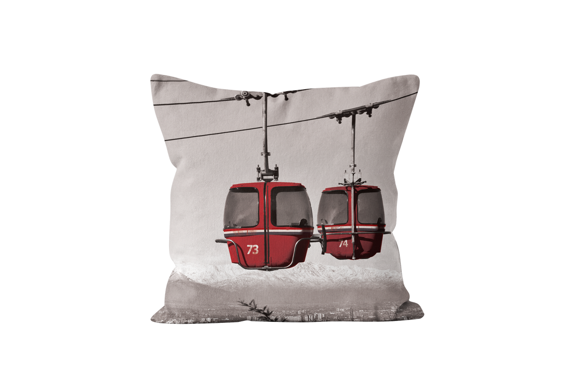 Ski Room Pillow