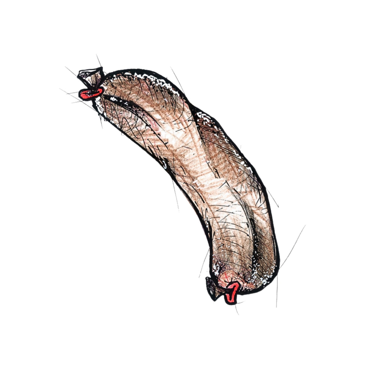 Jumi - Trick Chili Salami