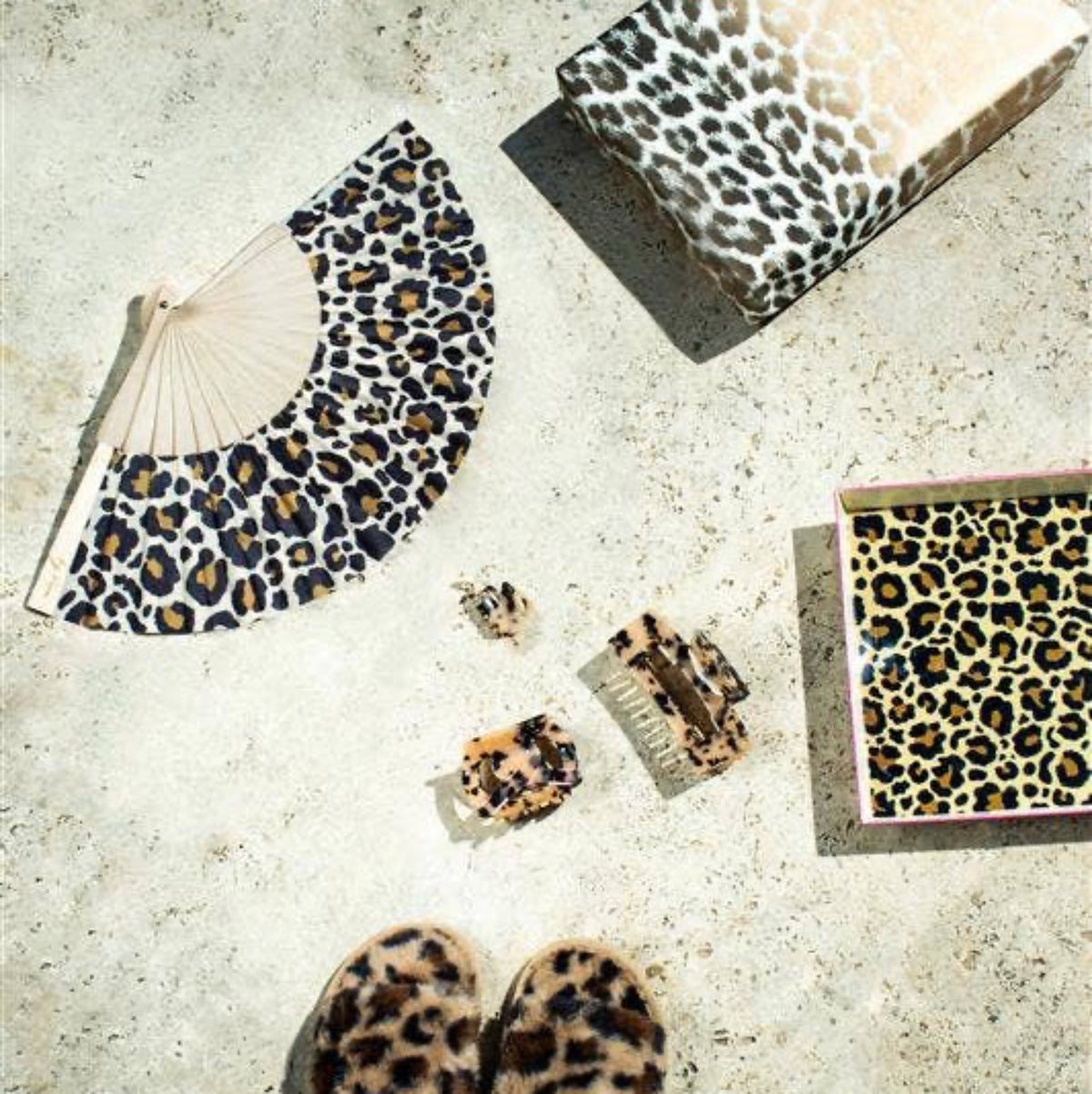 Fächer Leopard