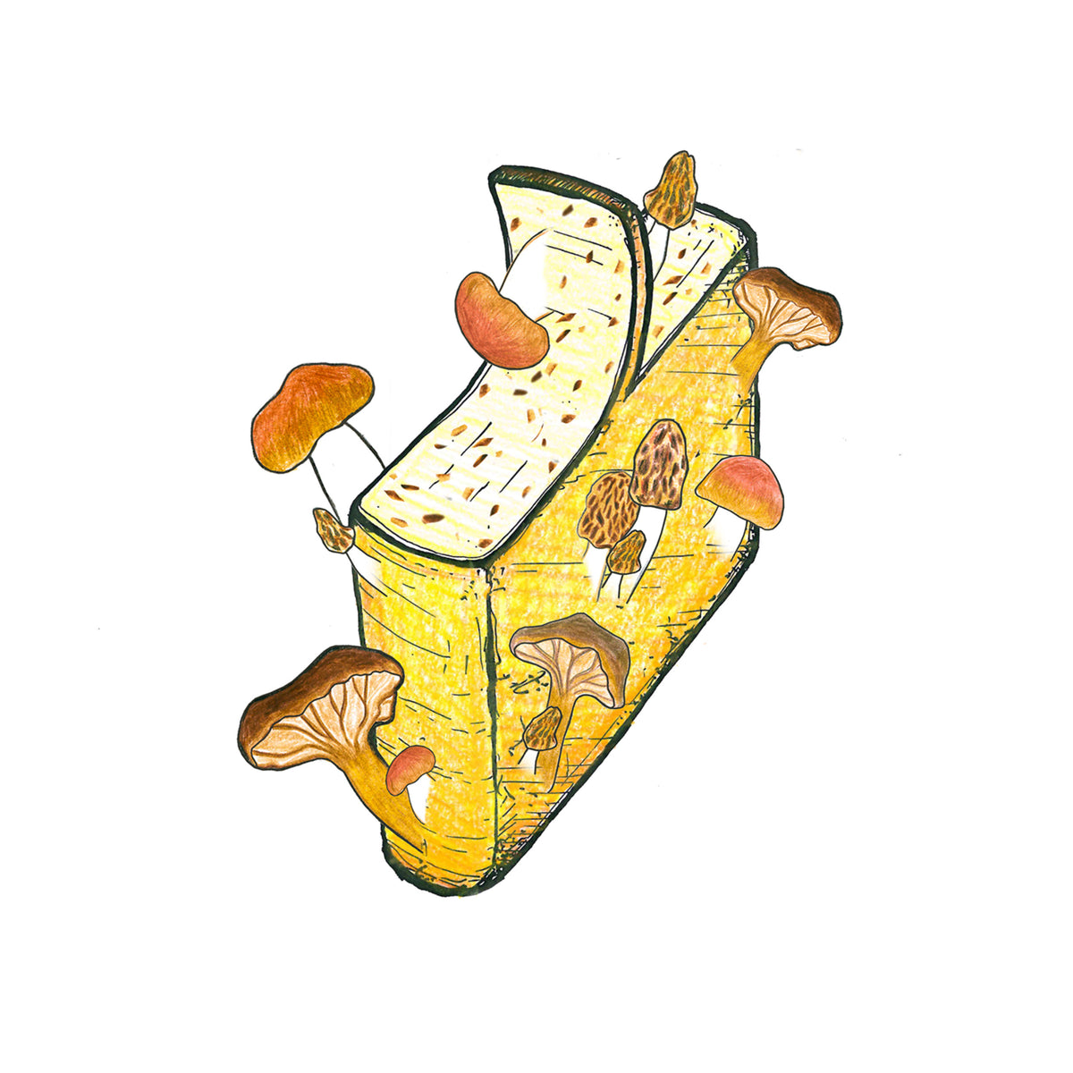 Jumi - Raclette Scheiben Morchel und Steinpilz